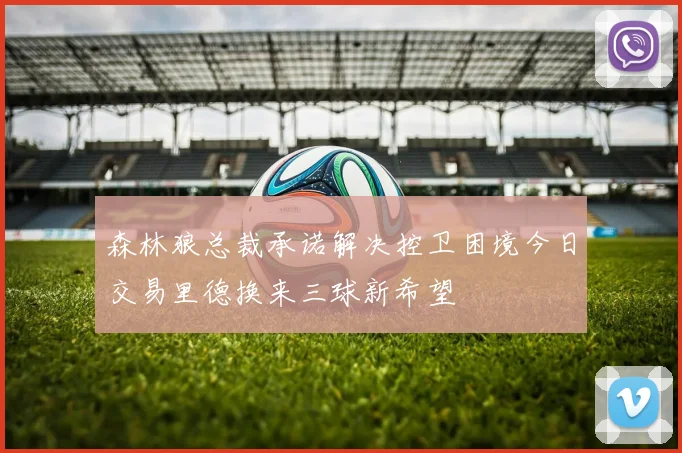 森林狼总裁承诺解决控卫困境今日交易里德换来三球新希望