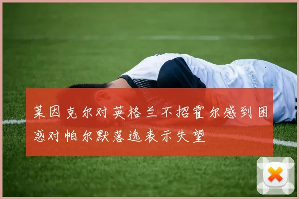 莱因克尔对英格兰不招霍尔感到困惑对帕尔默落选表示失望