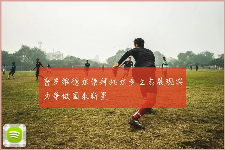 普罗维德尔崇拜托尔多立志展现实力争做国米新星